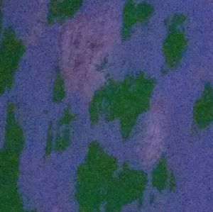 Meet your Posher, Danna